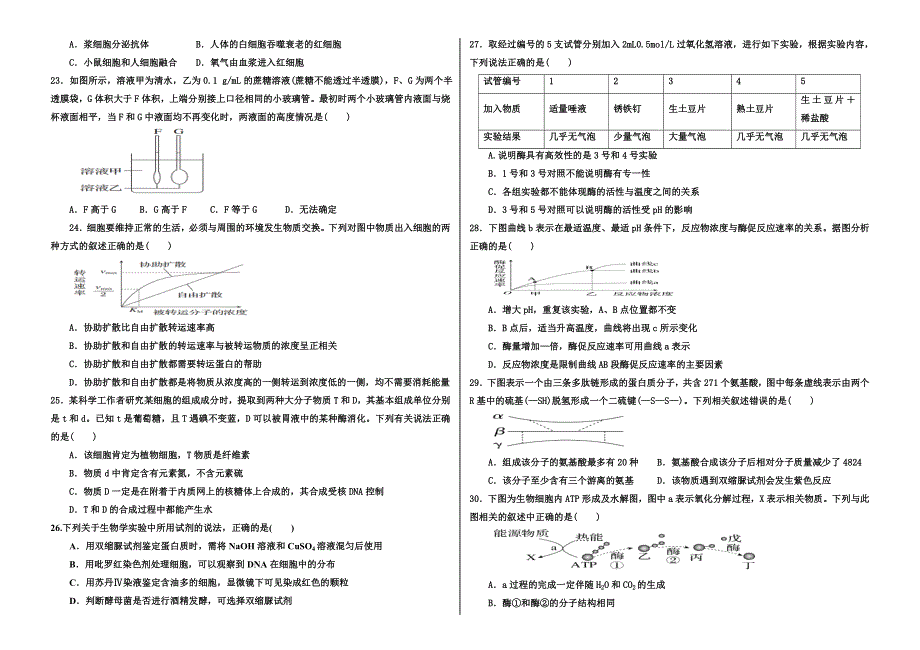 (新人教)2015届高三生物阶段测试一生物试题（必修一前四章）.doc_第3页