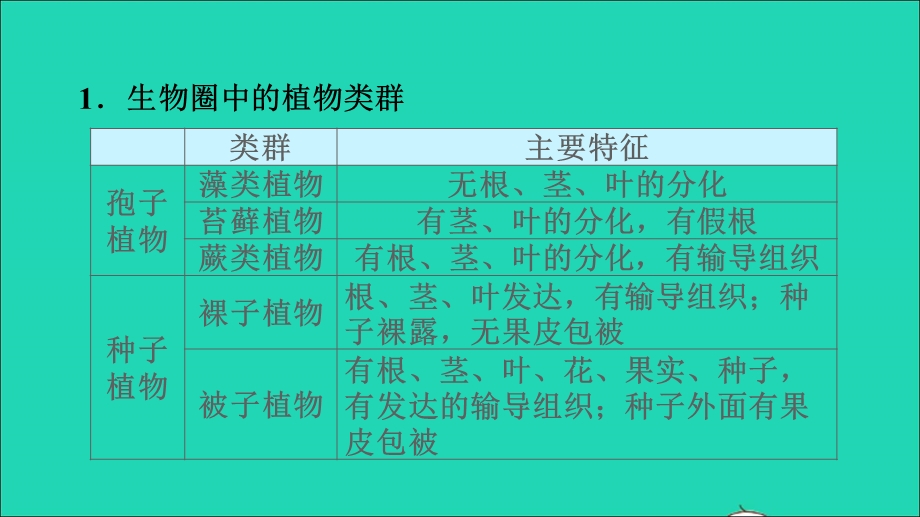 2021七年级生物上册 第三单元 生物圈中的绿色植物第一、二章巩固强化复习训练习题课件（新版）新人教版.ppt_第3页