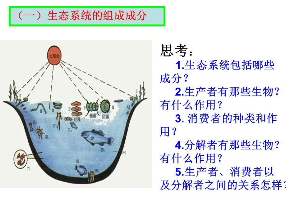 (新人教)生物必修三同步课件5.1生态系统的结构1.ppt_第3页