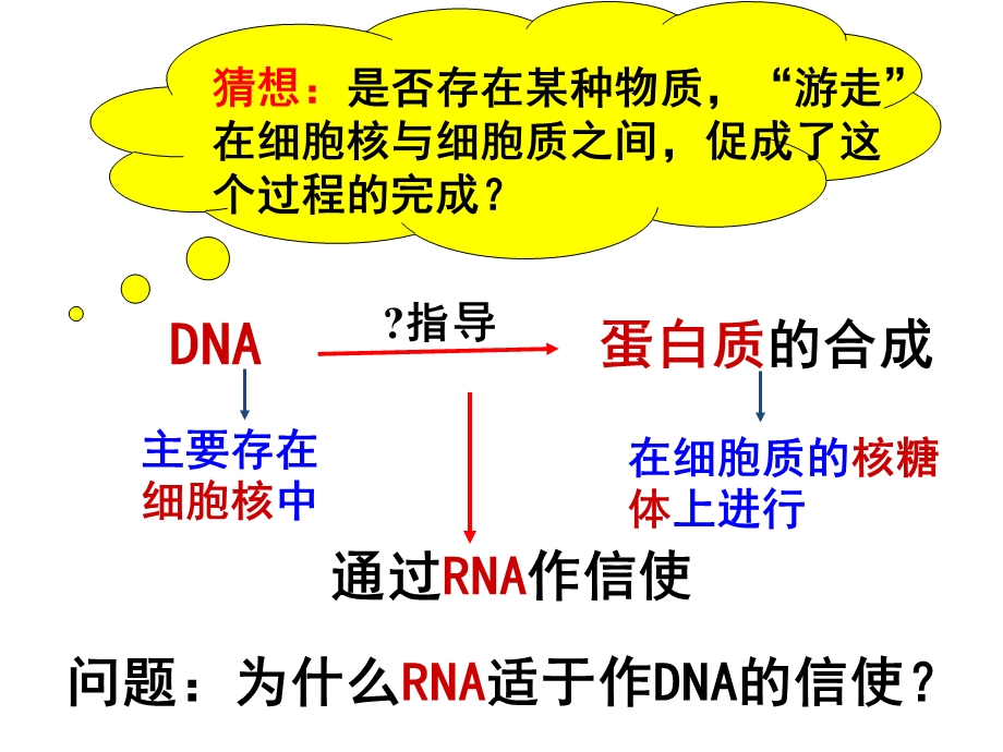 (新人教)生物必修二同步课件4.1基因指导蛋白质的合成（新课1）.ppt_第3页