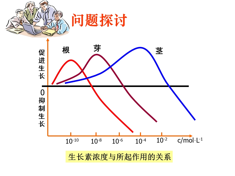 (新人教)生物必修三同步课件3.2生长素的生理作用.ppt_第3页