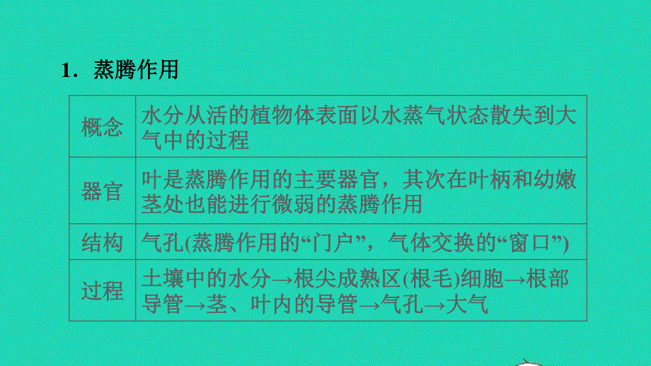 2021七年级生物上册 第三单元 生物圈中的绿色植物第三-六章巩固强化复习训练习题课件（新版）新人教版.ppt_第3页