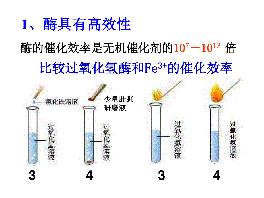 (新人教)生物必修一同步课件5.1.2酶的特性.ppt_第2页