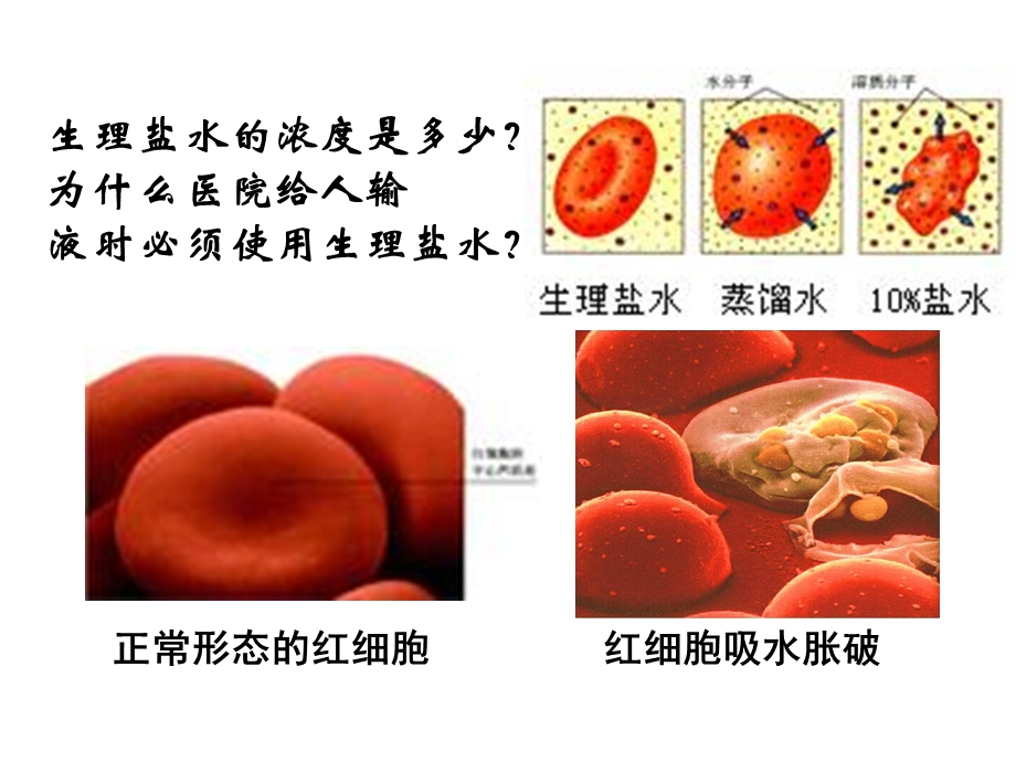 (新人教)生物必修三同步课件1.2内环境稳态的重要性质.ppt_第3页