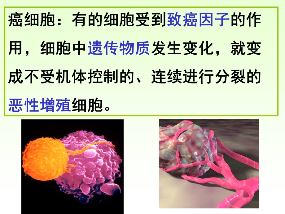 2014年山西省运城市康杰中学高一生物人教版必修1课件：6.ppt_第2页