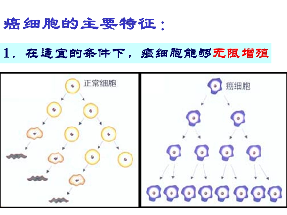 2014年山西省运城市康杰中学高一生物人教版必修1课件：6.ppt_第3页