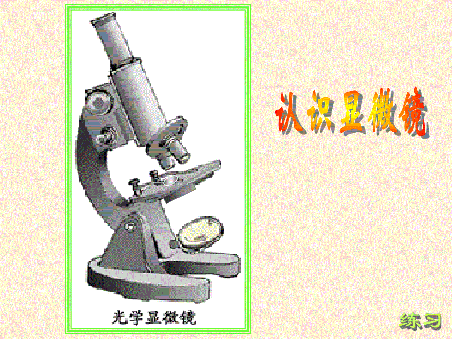 (新人教)生物必修一同步课件1.2 .2显微镜的使用.ppt_第2页