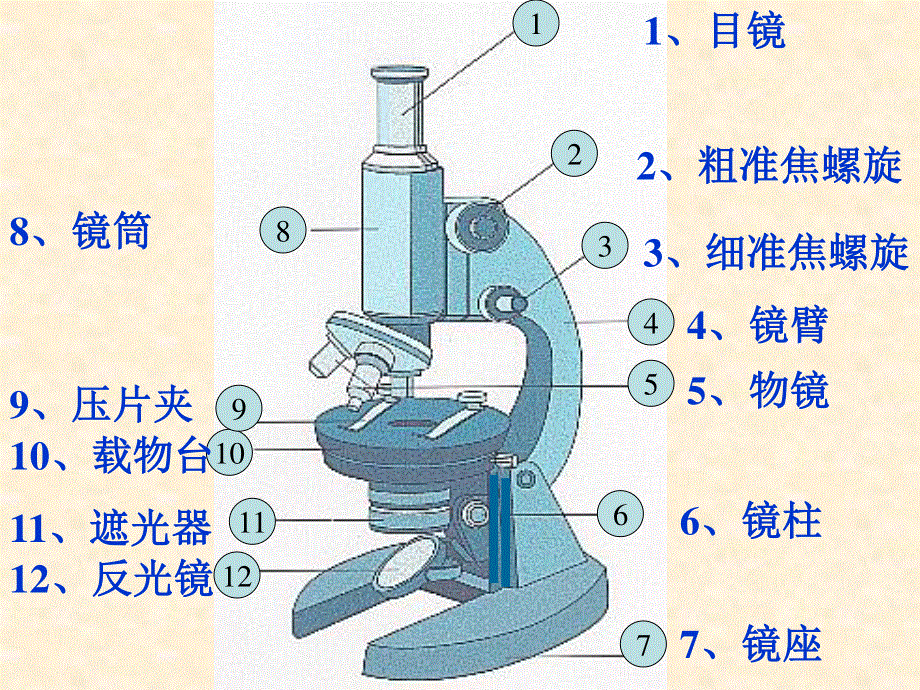 (新人教)生物必修一同步课件1.2 .2显微镜的使用.ppt_第3页