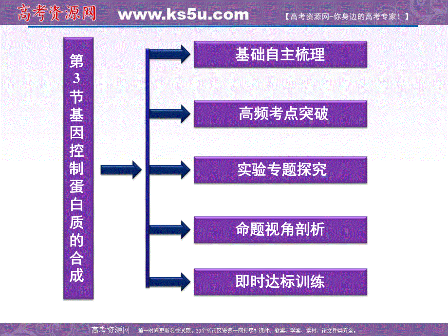 2012优化方案高考生物总复习苏教版（江苏专用）（课件）：必修2第4章第3节基因控制蛋白质的合成.ppt_第2页