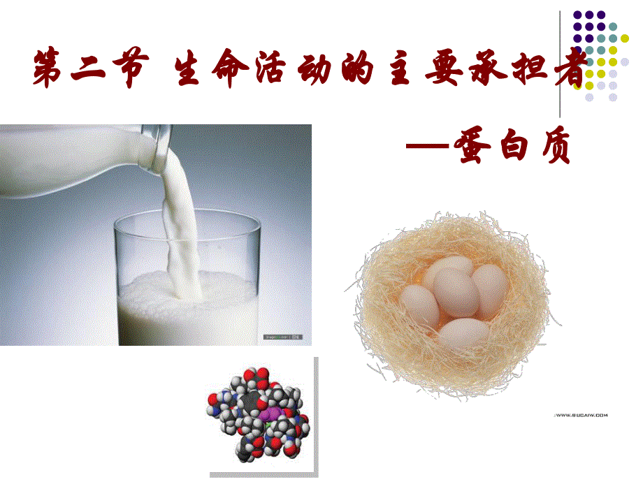 (新人教)生物必修一同步课件2.2 生命活动的主要承担者—蛋白质.ppt_第1页