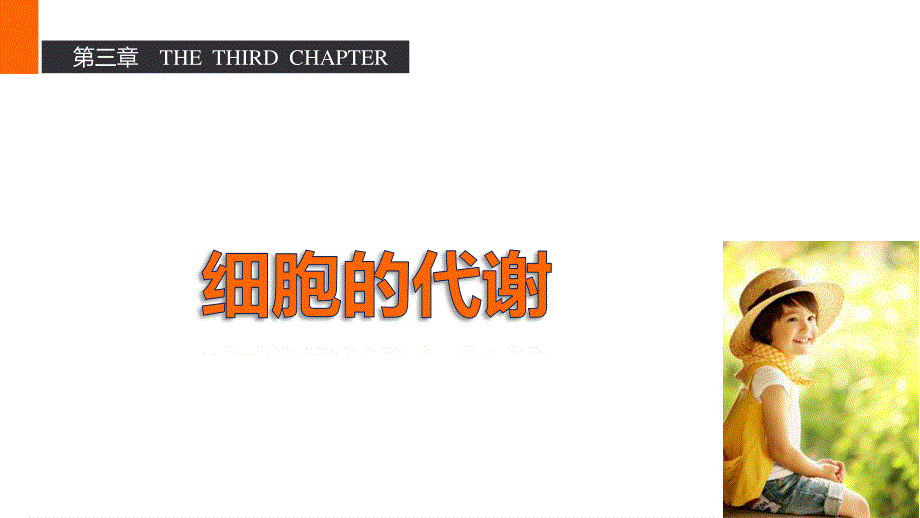 2016生物浙科版必修1课件：第三章 13 物质出入细胞的方式——被动转运、主动转运、胞吞和胞吐 .pptx_第1页