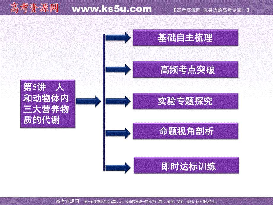 2012优化方案高考生物总复习（大纲版）课件：第3章第5讲人和动物体内三大营养物质的代谢.ppt_第2页