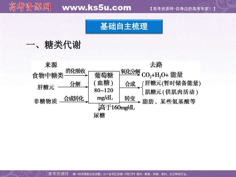 2012优化方案高考生物总复习（大纲版）课件：第3章第5讲人和动物体内三大营养物质的代谢.ppt_第3页