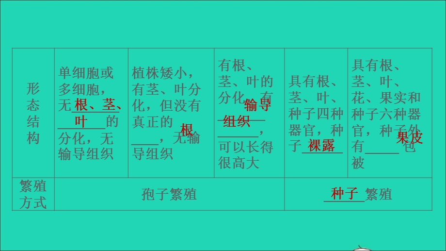 2021七年级生物上册 第三单元 生物圈中的绿色植物习题课件（新版）新人教版.ppt_第3页