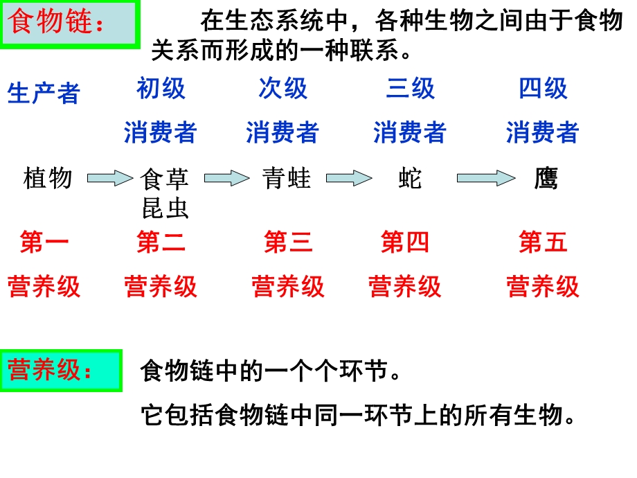 (新人教)生物必修三同步课件5.1生态系统的结构2.ppt_第2页