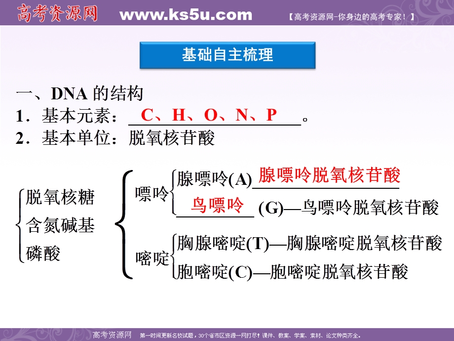 2012优化方案高考生物总复习苏教版（江苏专用）（课件）：必修2第4章第2节DNA的结构和DNA的复制.ppt_第3页