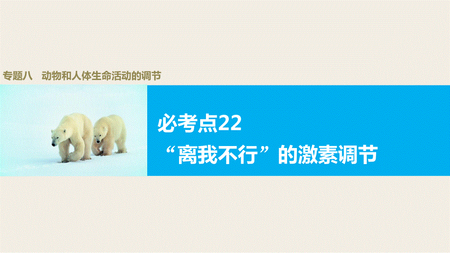 2016版高考生物（全国专用）二轮复习配套课件：专题八 必考点22“离我不行”的激素调节 WORD版.pptx_第1页