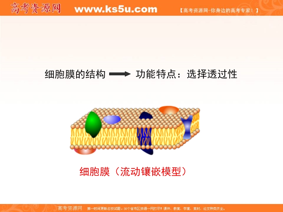 2016-2017学年人教版高中生物必修一4.3《物质跨膜运输的方式》精品课件 （共28张PPT） .ppt_第2页