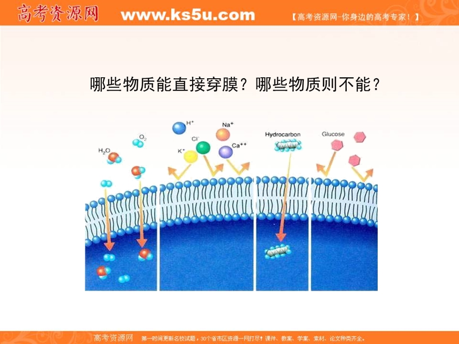 2016-2017学年人教版高中生物必修一4.3《物质跨膜运输的方式》精品课件 （共28张PPT） .ppt_第3页