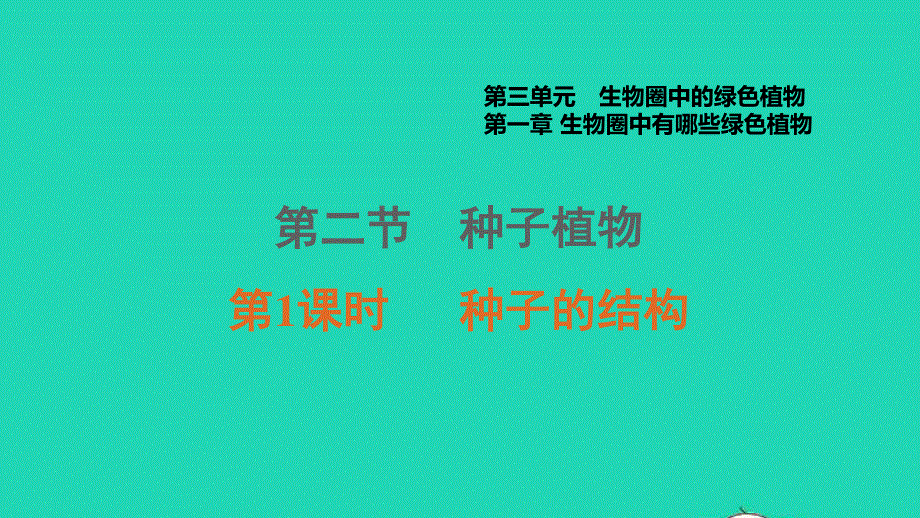 2021七年级生物上册 第三单元 生物圈中的绿色植物第一章 生物圈中有哪些绿色植物第2节 种子植物第1课时种子的结构习题课件（新版）新人教版.ppt_第1页