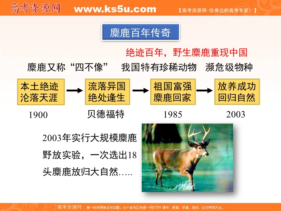 2016-2017学年人教版高中生物必修三4.1《种群的特征》精品课件 （共33张PPT） .ppt_第3页