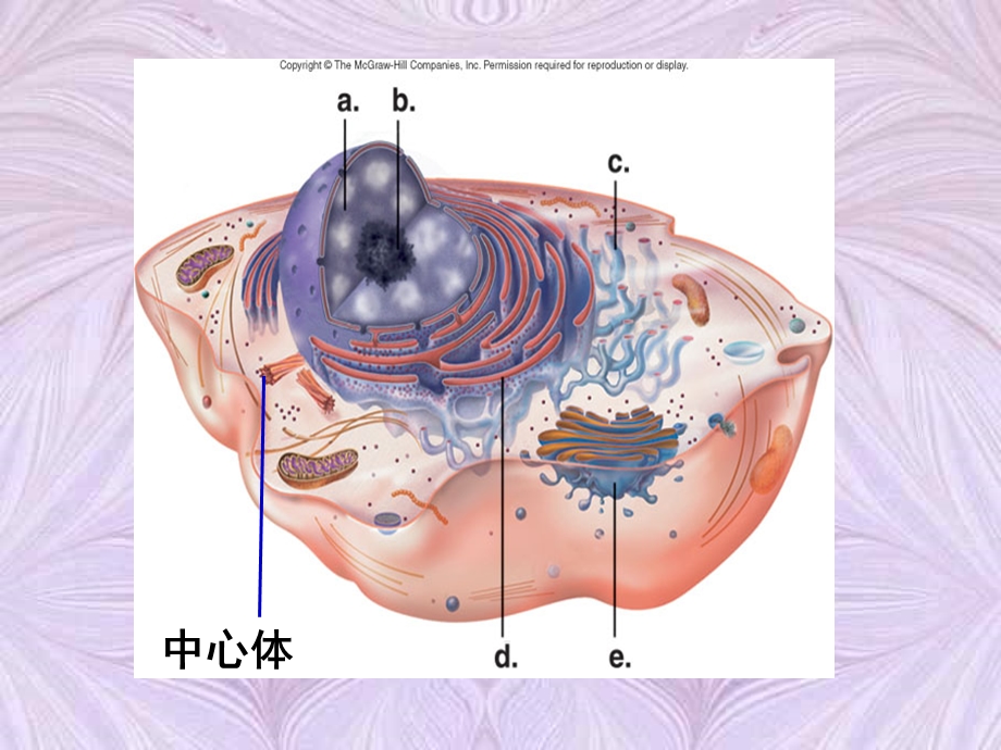 2014年山西省运城市康杰中学高一生物人教版必修1课件：3.ppt_第2页