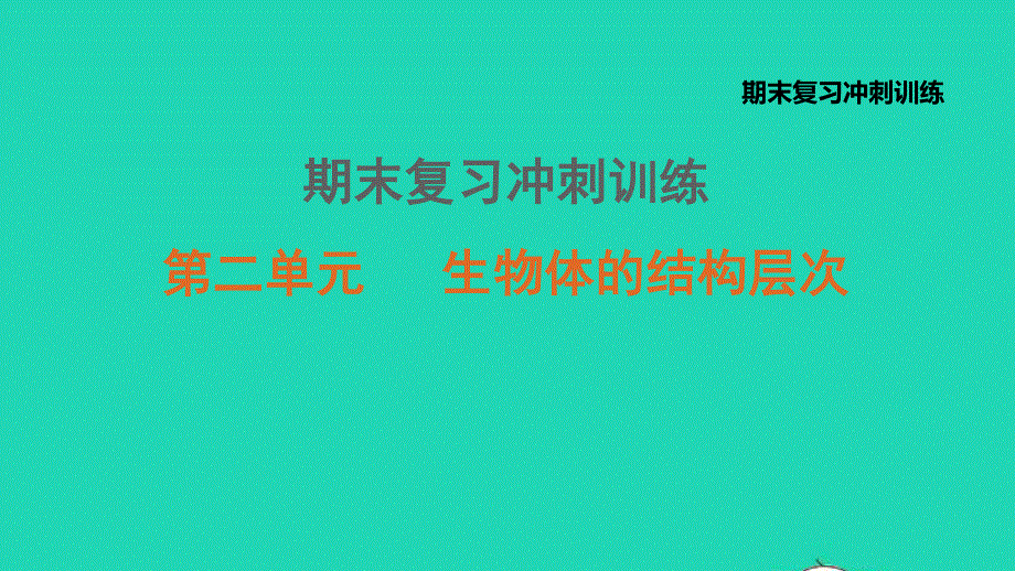 2021七年级生物上册 第二单元 生物体的结构层次习题课件（新版）新人教版.ppt_第1页