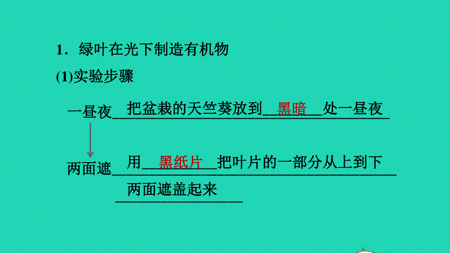 2021七年级生物上册 第三单元 生物圈中的绿色植物第四章 绿色植物是生物圈中有机物的制造者习题课件（新版）新人教版.ppt_第2页