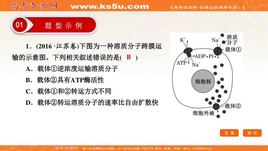 2018大二轮高考总复习生物课件：第02部分 01 选择题专项突破 突破题型02 图解图示类——有效“架桥”破解 .ppt_第3页