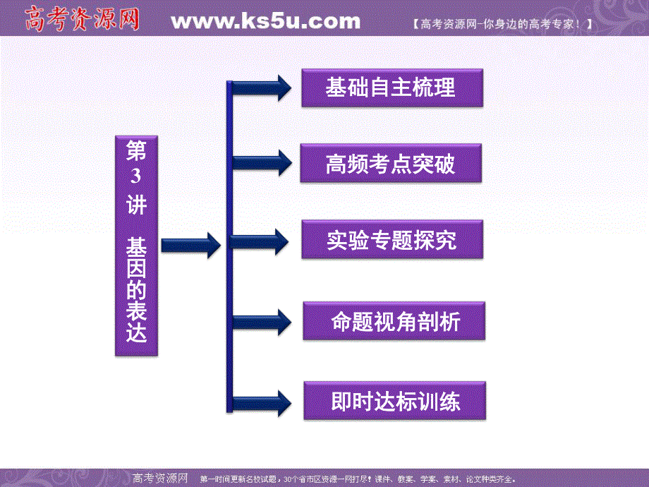 2012优化方案高考生物总复习（大纲版）课件：第6章第3讲基因的表达.ppt_第2页