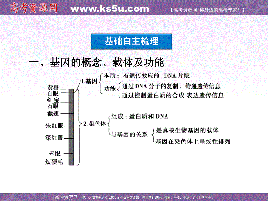 2012优化方案高考生物总复习（大纲版）课件：第6章第3讲基因的表达.ppt_第3页