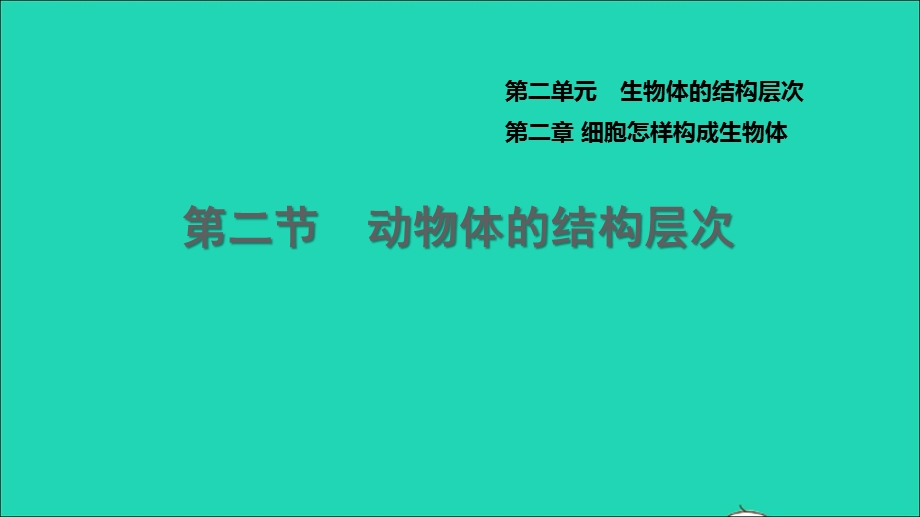 2021七年级生物上册 第二单元 生物体的结构层次第二章 细胞怎样构成生物体第2节动物体的结构层次习题课件（新版）新人教版.ppt_第1页