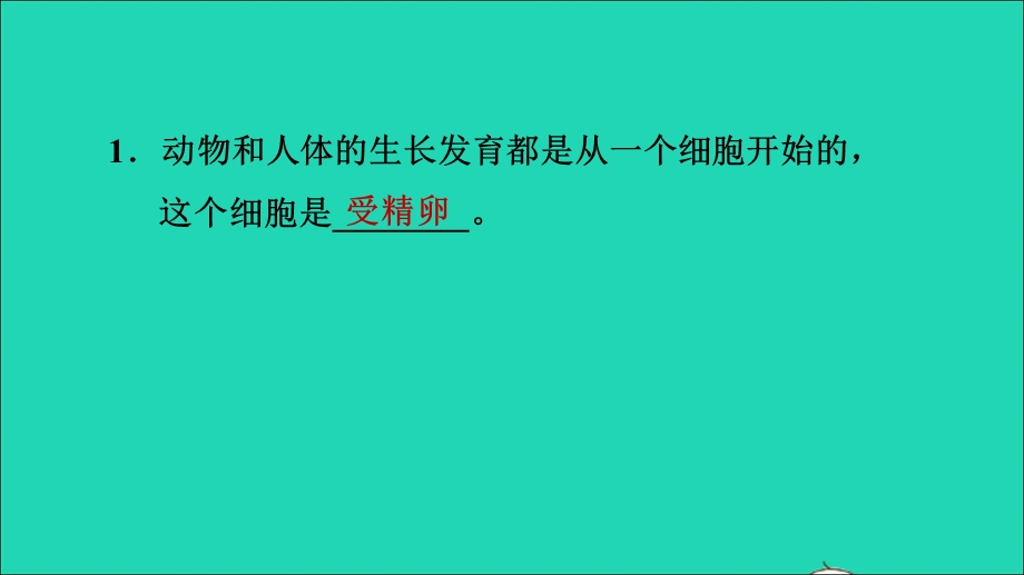 2021七年级生物上册 第二单元 生物体的结构层次第二章 细胞怎样构成生物体第2节动物体的结构层次习题课件（新版）新人教版.ppt_第2页