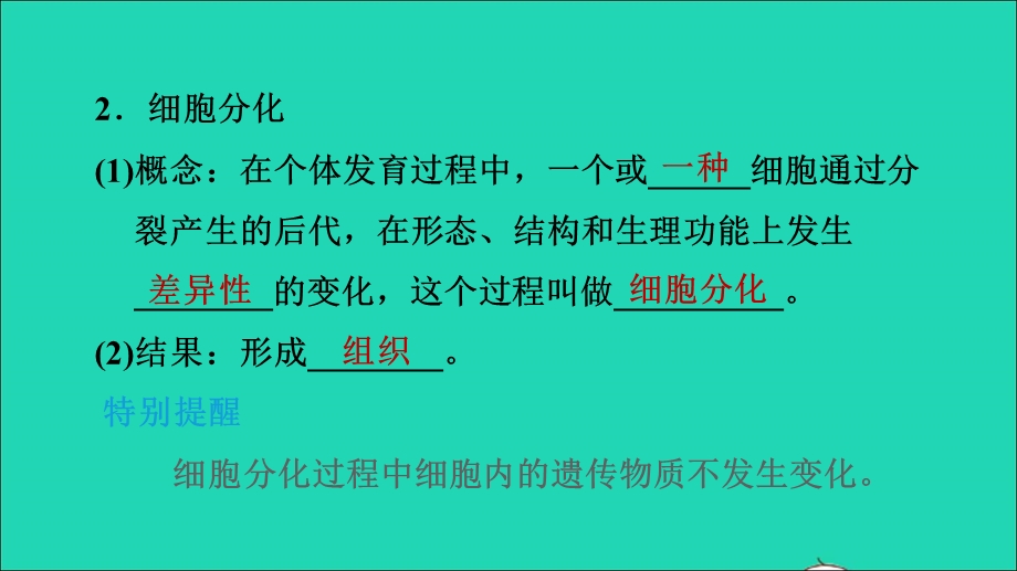 2021七年级生物上册 第二单元 生物体的结构层次第二章 细胞怎样构成生物体第2节动物体的结构层次习题课件（新版）新人教版.ppt_第3页