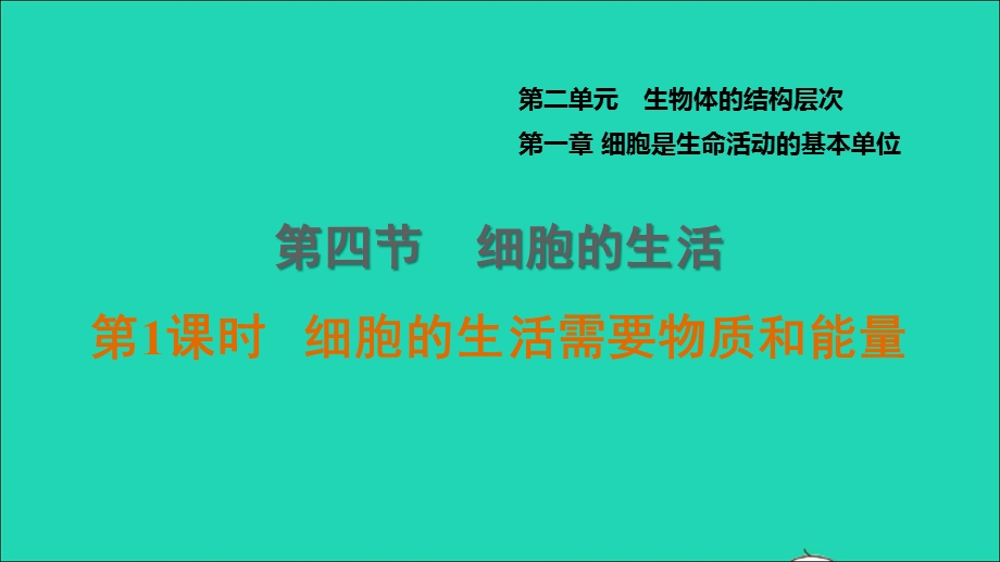 2021七年级生物上册 第二单元 生物体的结构层次第一章 细胞是生命活动的基本单位第4节 细胞的生活第1课时细胞的生活需要物质和能量习题课件（新版）新人教版.ppt_第1页