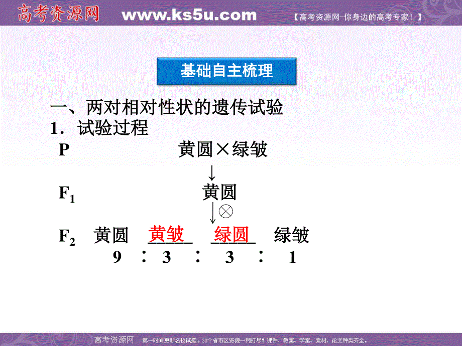 2012优化方案高考生物总复习（大纲版）课件：第6章第5讲基因的自由组合定律.ppt_第3页