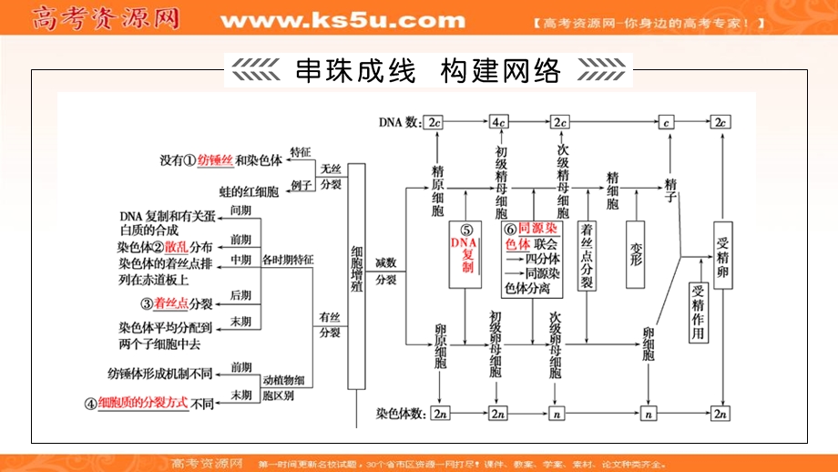 2018大二轮高考总复习生物课件：第01部分 专题03 生命系统的延续 整合考点06 “动态有序”的细胞增殖 .ppt_第3页