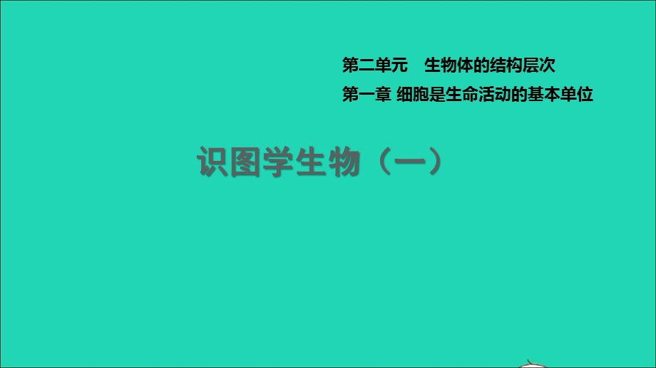 2021七年级生物上册 第二单元 生物体的结构层次（识图学生物一）习题课件（新版）新人教版.ppt_第1页