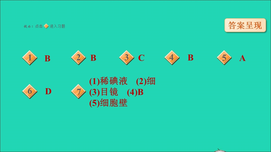 2021七年级生物上册 第二单元 生物体的结构层次（识图学生物一）习题课件（新版）新人教版.ppt_第2页