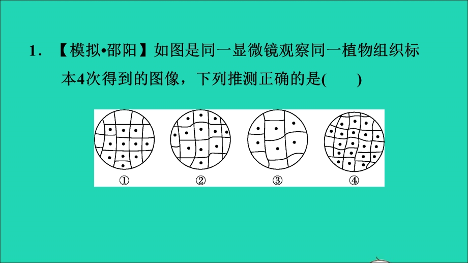 2021七年级生物上册 第二单元 生物体的结构层次（识图学生物一）习题课件（新版）新人教版.ppt_第3页