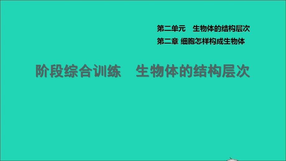 2021七年级生物上册 第二单元 生物体的结构层次阶段综合训练 生物体的结构层次习题课件（新版）新人教版.ppt_第1页