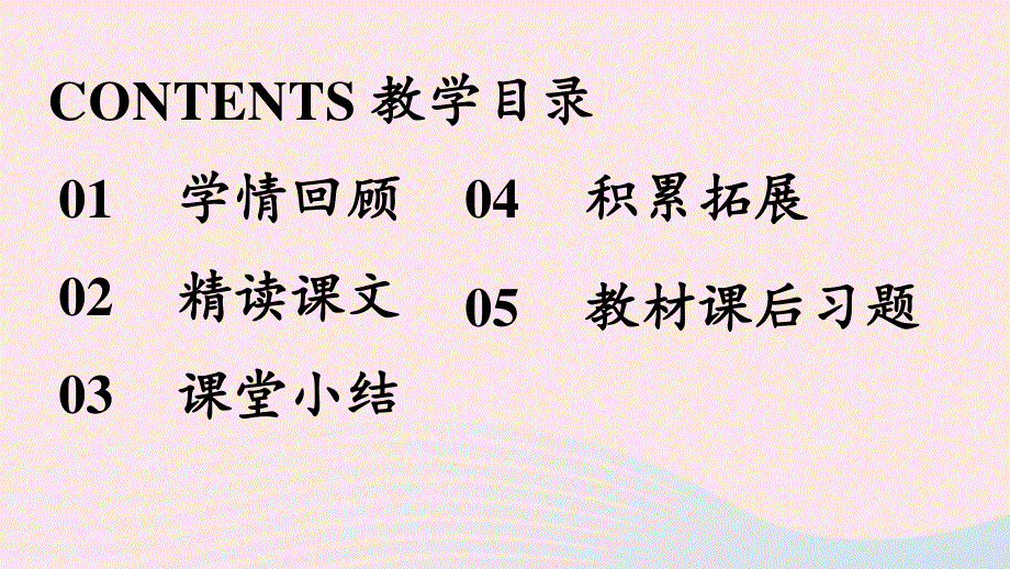 2023七年级语文下册 第2单元 9《木兰诗》第2课时上课课件 新人教版.pptx_第2页