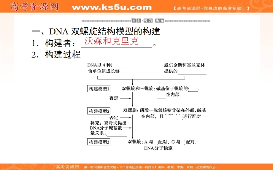 2020-2021人教版生物必修2课件：3-2 DNA分子的结构 .ppt_第3页