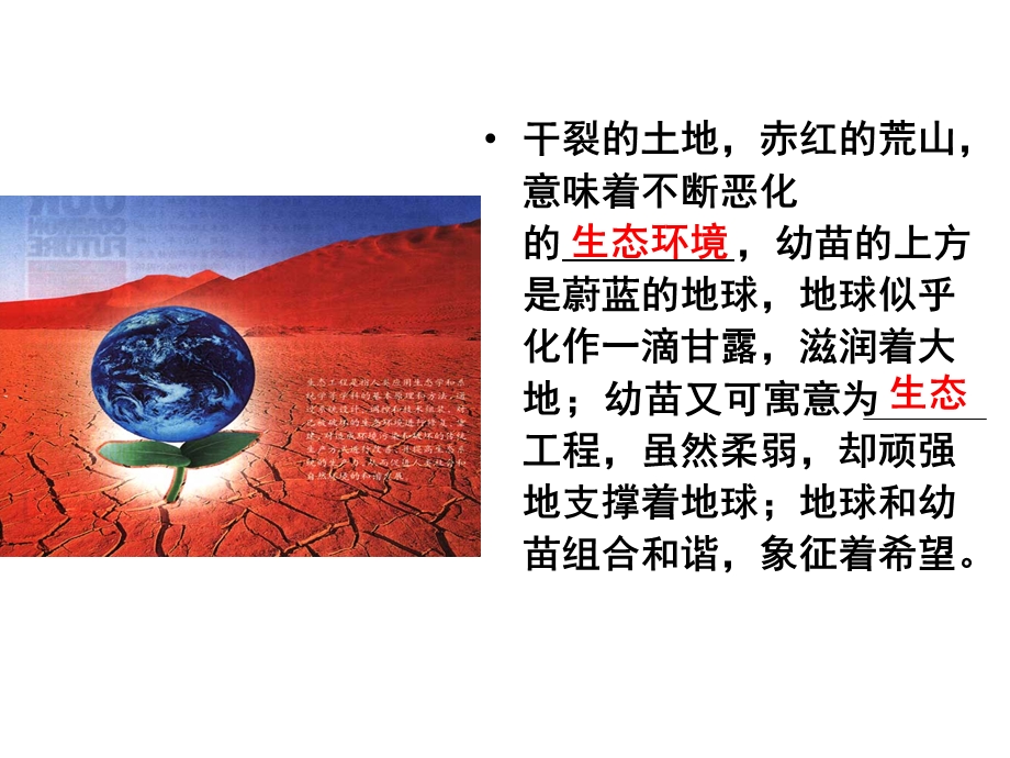 2014年广东省翁源县翁源中学生物课件 高三复习：生态工程的基本原理.ppt_第3页