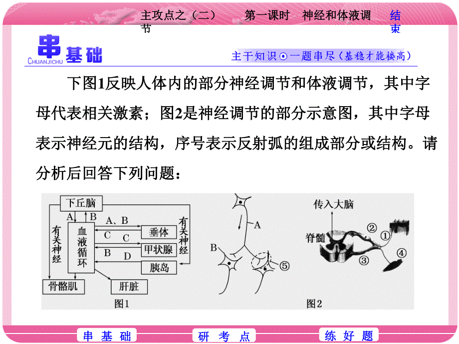 2018学年高中三维专题二轮复习生物江苏专版课件：第一部分 专题四 主攻点之（二）第一课时　神经和体液调节 .ppt_第2页