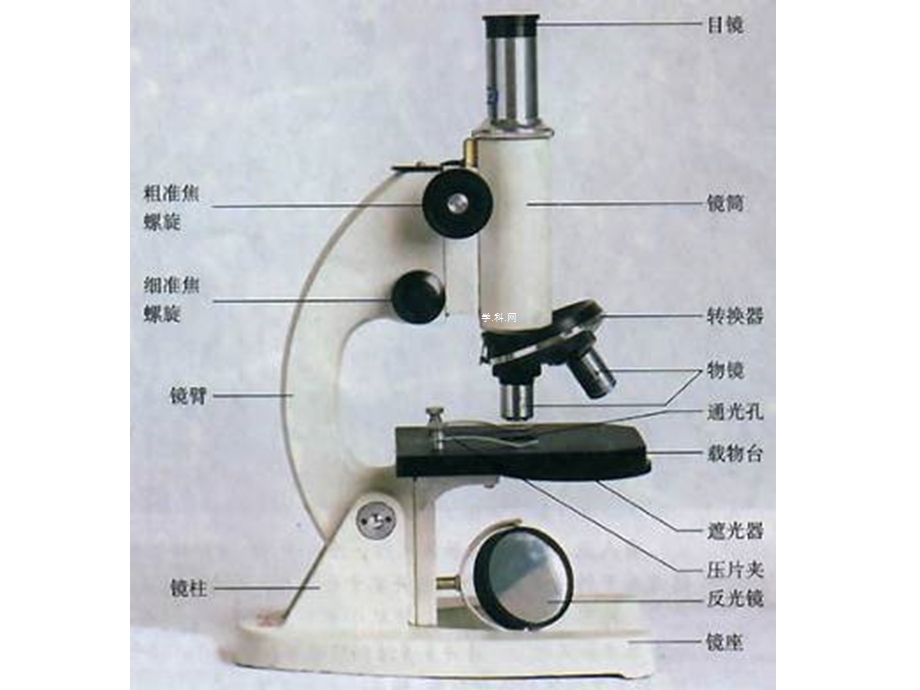 2014年广东省翁源县翁源中学生物课件 高中必修一：12 细胞的多样性和统一性（共42张PPT）.ppt_第1页