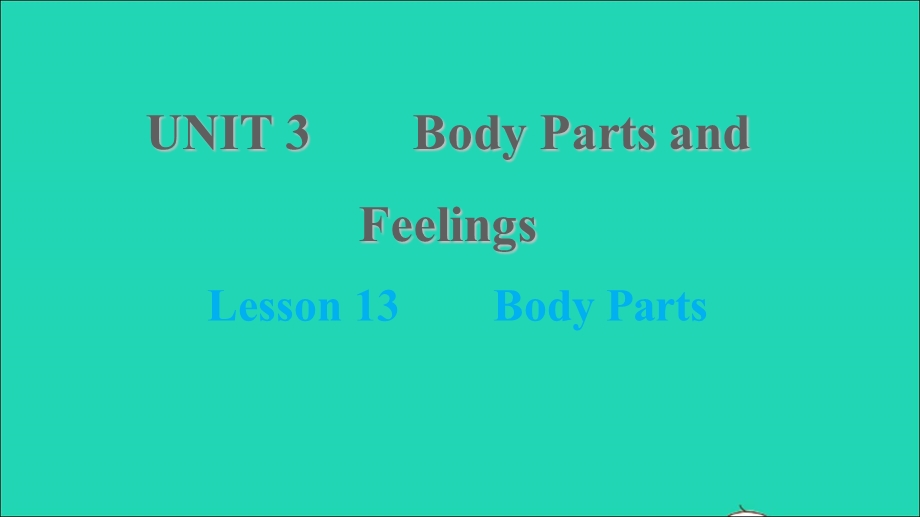 2021七年级英语上册 Unit 3 Body Parts and Feelings Lesson 13 Body Parts习题课件 （新版）冀教版.ppt_第1页