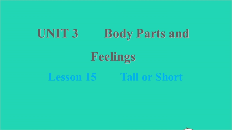 2021七年级英语上册 Unit 3 Body Parts and Feelings Lesson 15 Tall or Short习题课件 （新版）冀教版.ppt_第1页