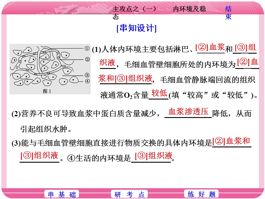 2018学年高中三维专题二轮复习生物江苏专版课件：第一部分 专题四 主攻点之（一）内环境及稳态 .ppt_第3页