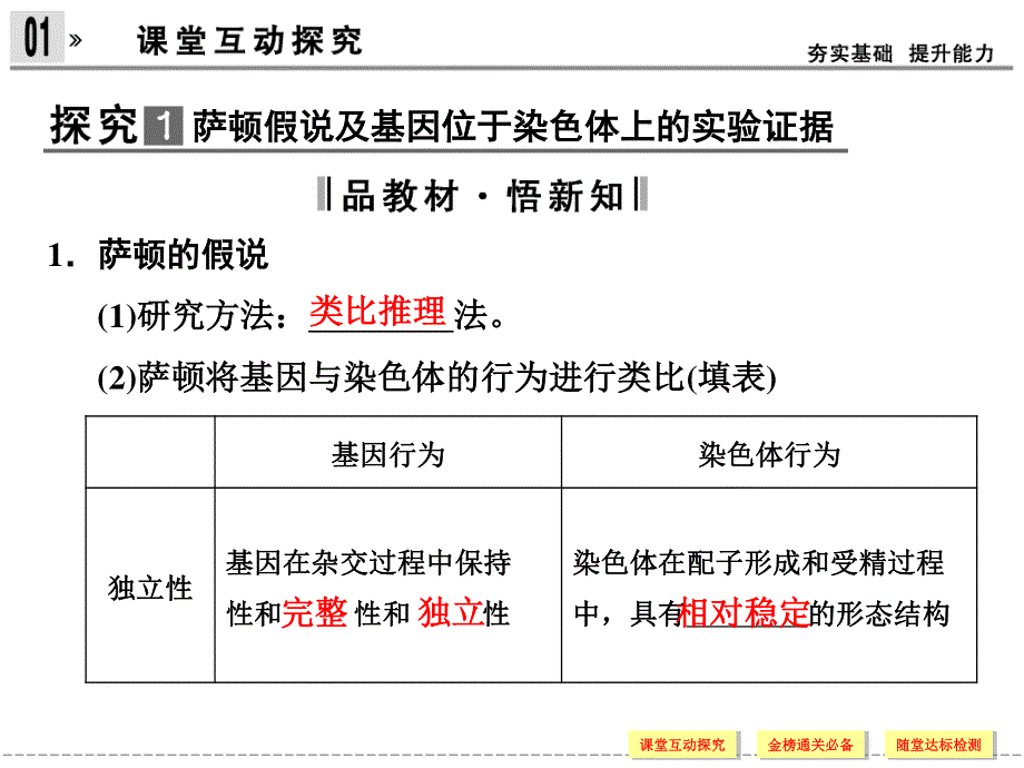 2016-2017学年生物人教版必修2（广东专用）课件：2-2基因在染色体上 .ppt_第3页